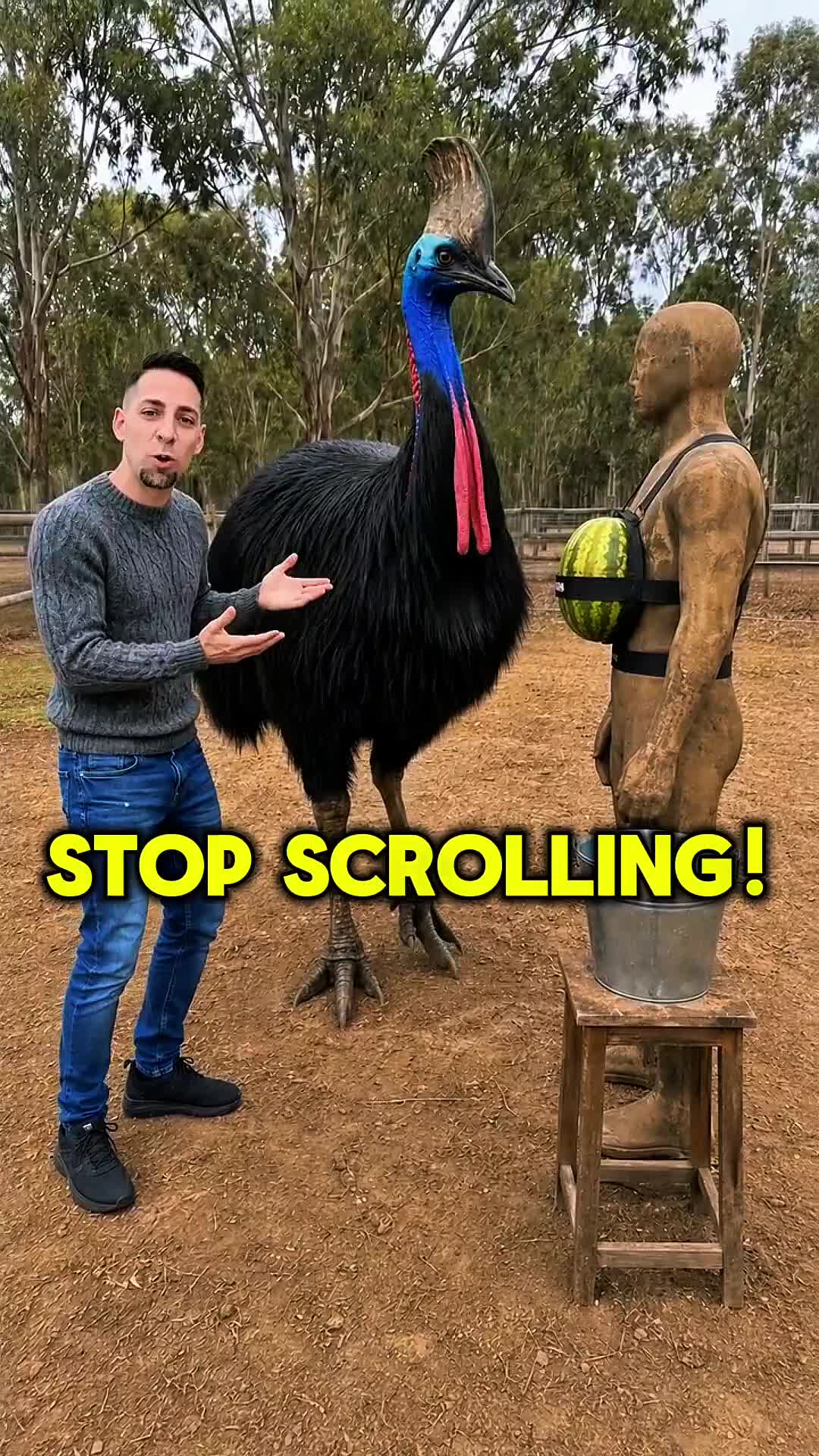 @animolfacts
