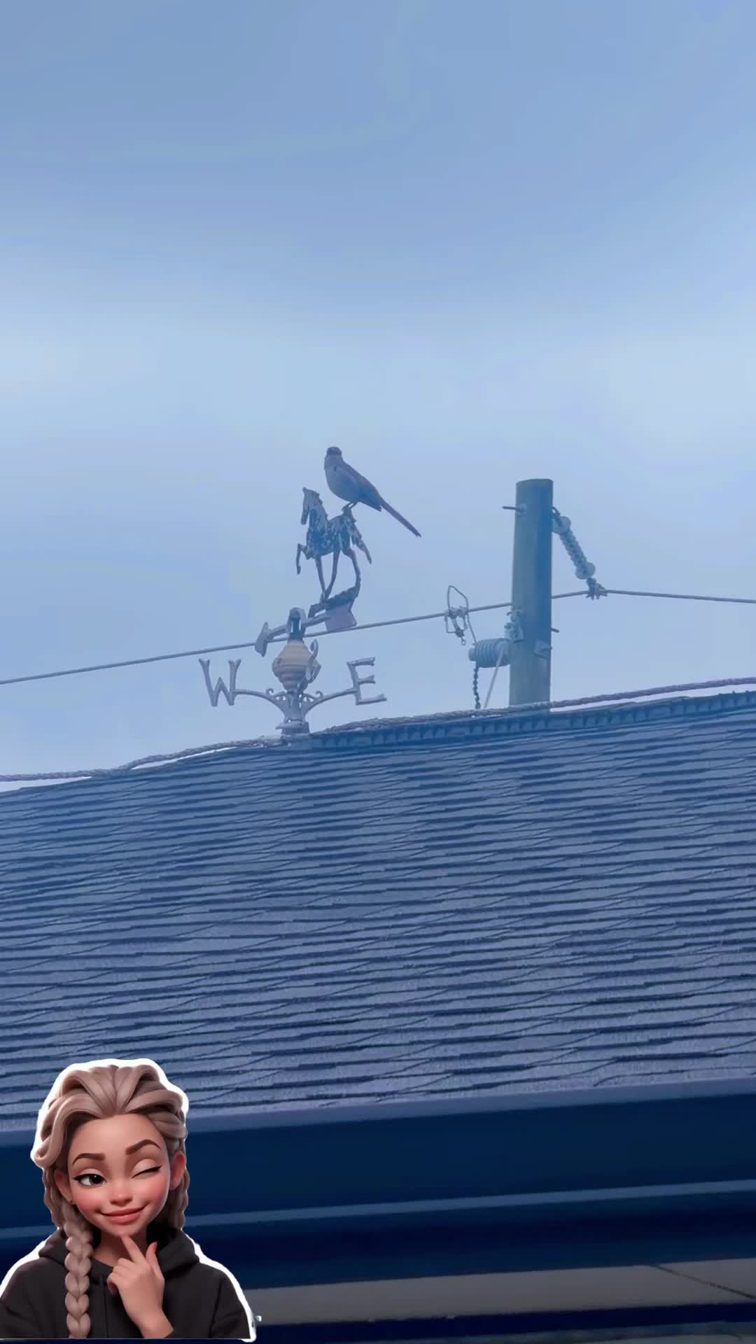 @ð«ð©ðŽFlaquisð©ðŽð«