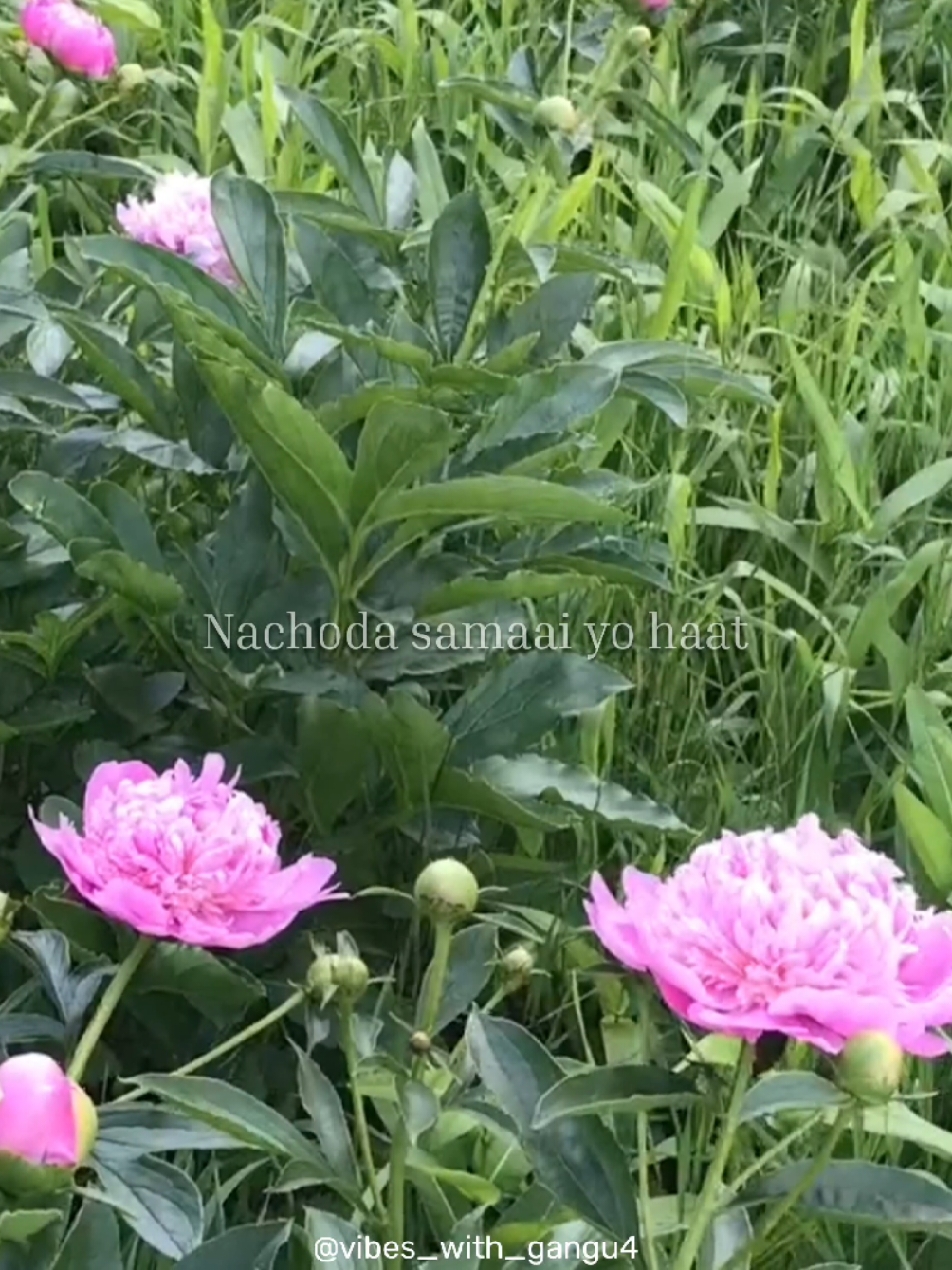 @𝗟𝘆𝗿𝗶𝗰𝘀_𝗙𝗼𝗿_𝗬𝗼𝘂🎧