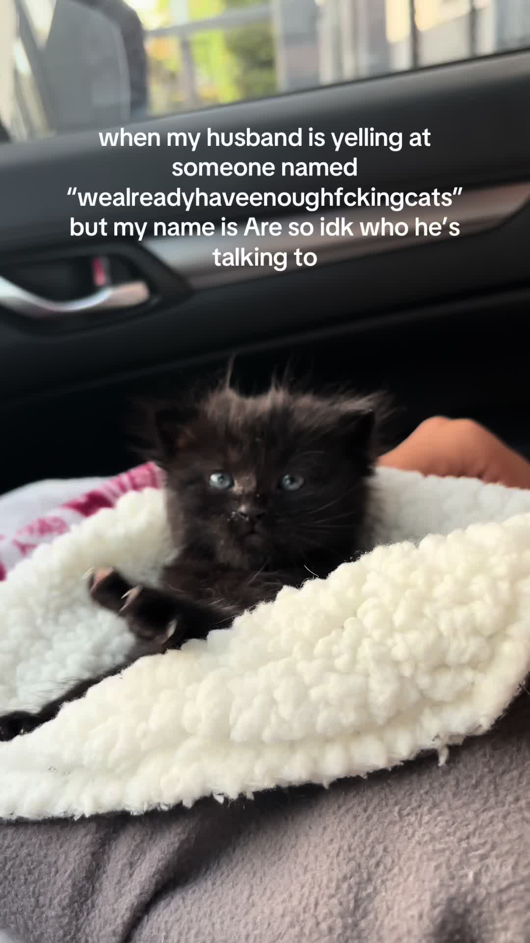 @Meowster_World