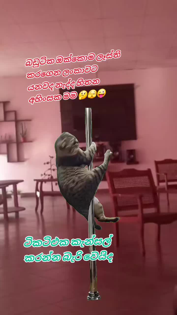 @🥀Dil🪷🇱🇰🇦🇪⚘️