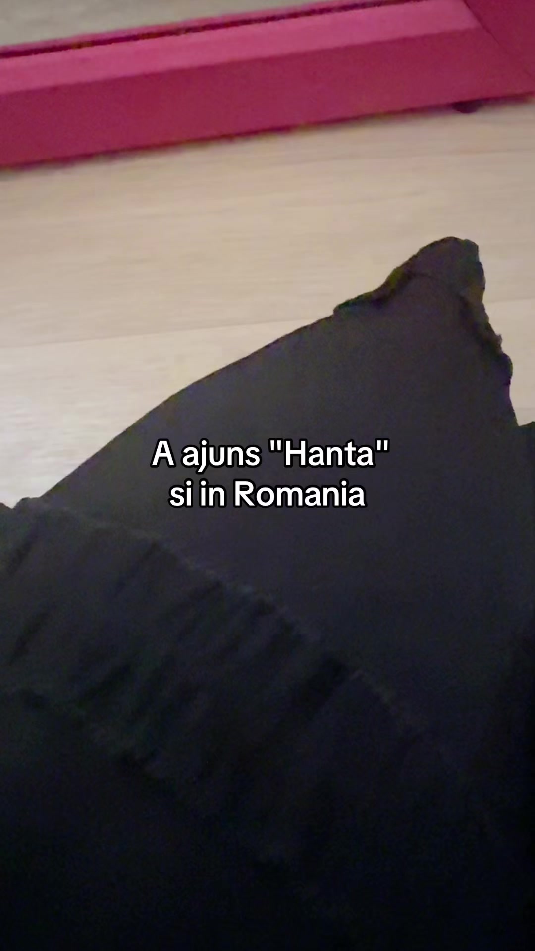 @Maria_romanianinCoreea