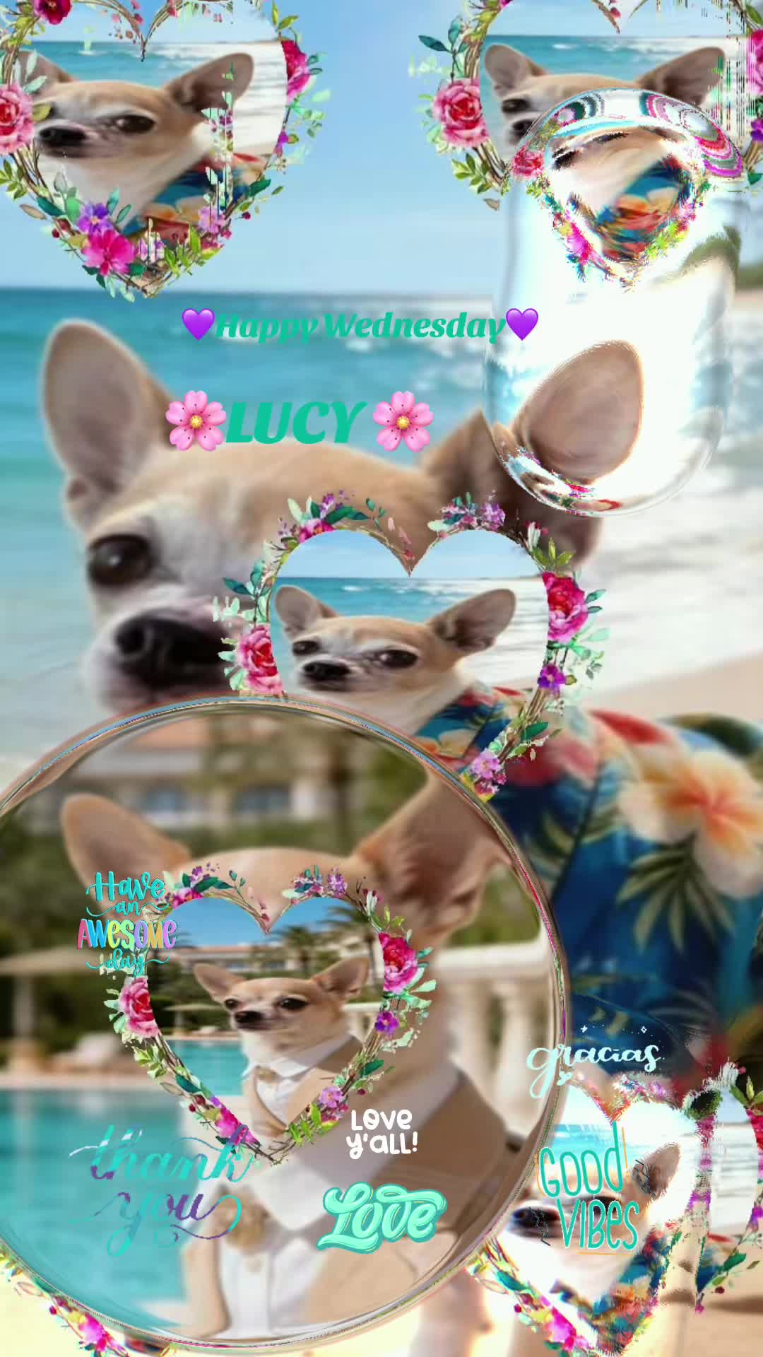 @Lucy