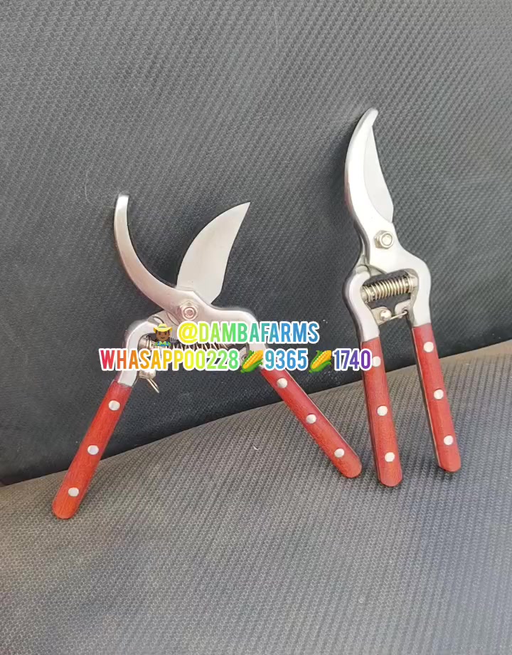 @dambafarms