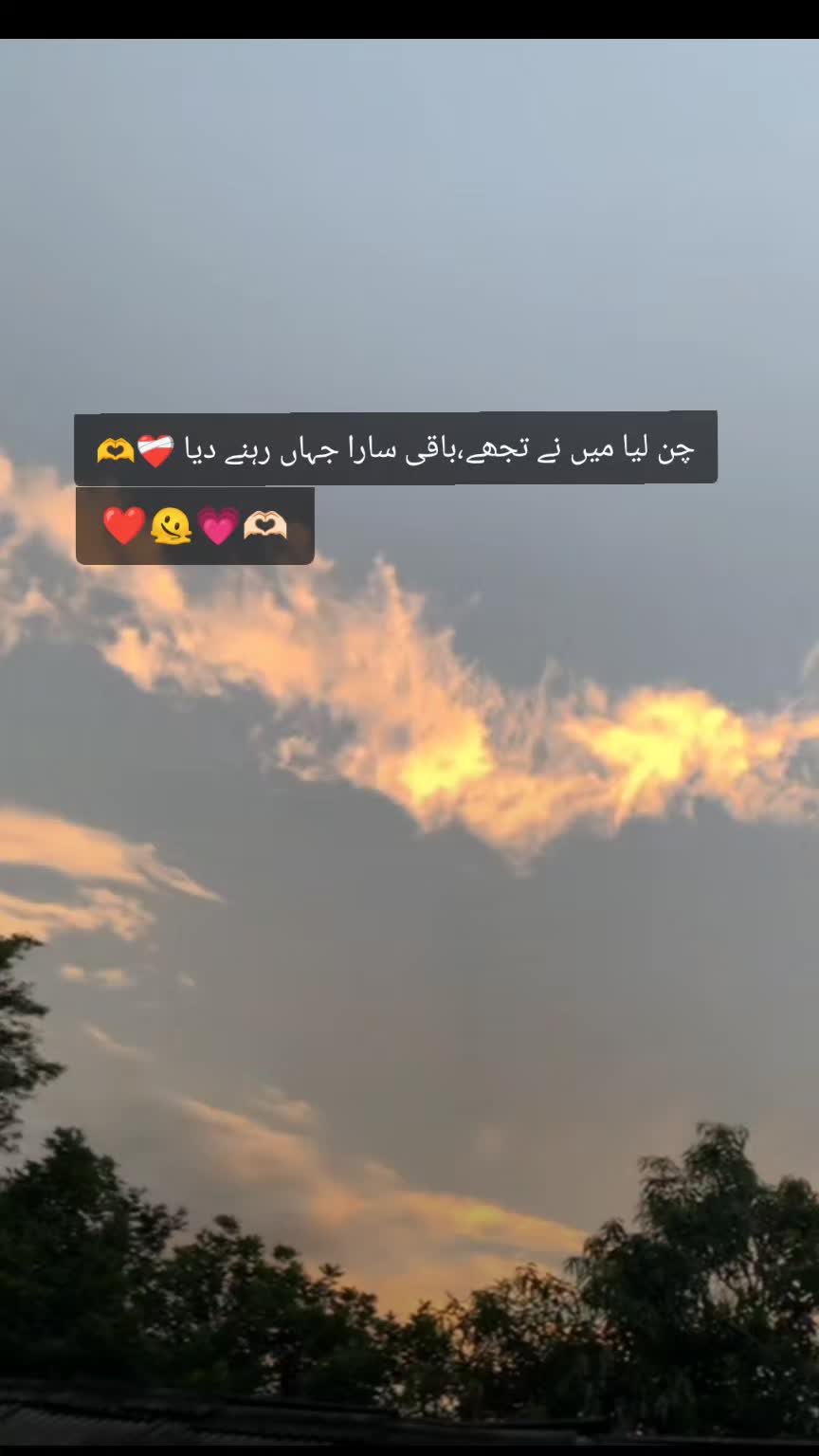 @𓆩♡𓆪 𝓐𝓫𝓮𝓮𝓻𝓪🚩