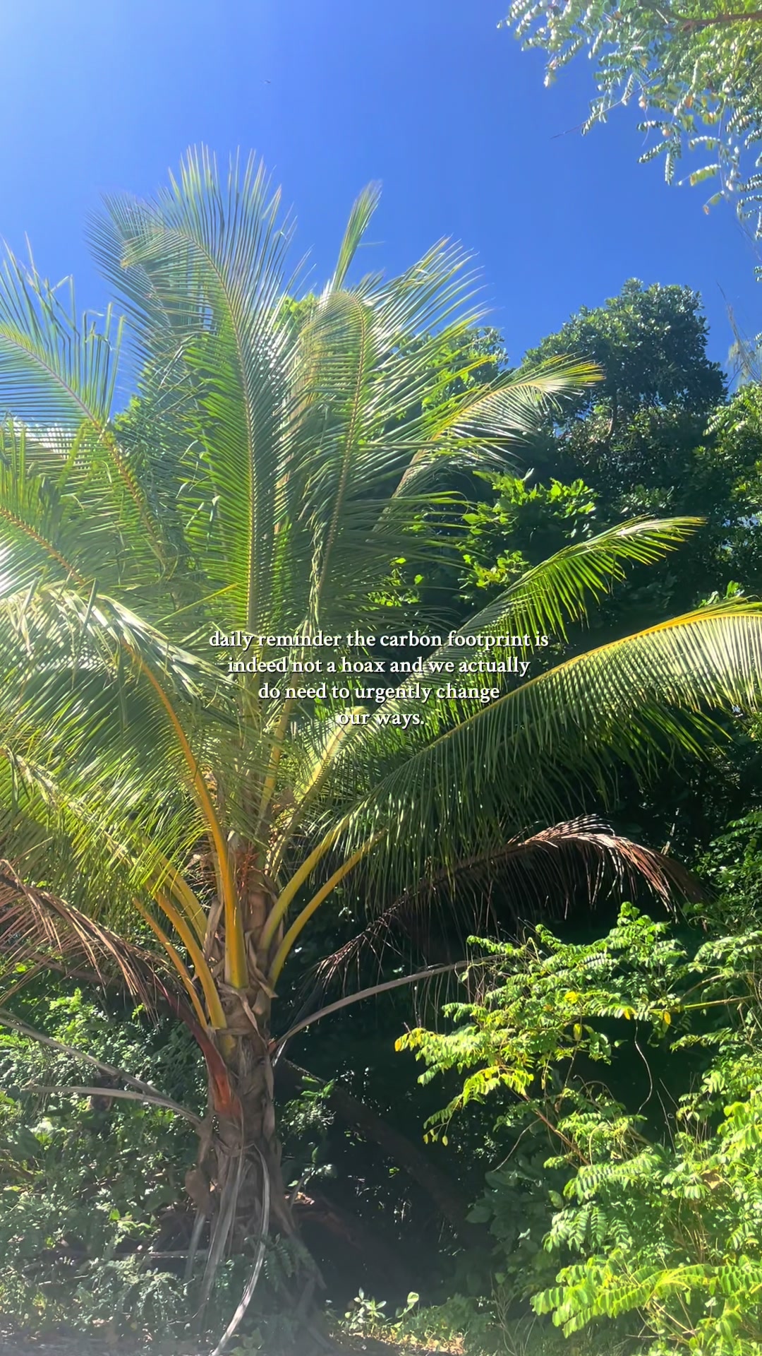 @earthly conservations 🌎🌺