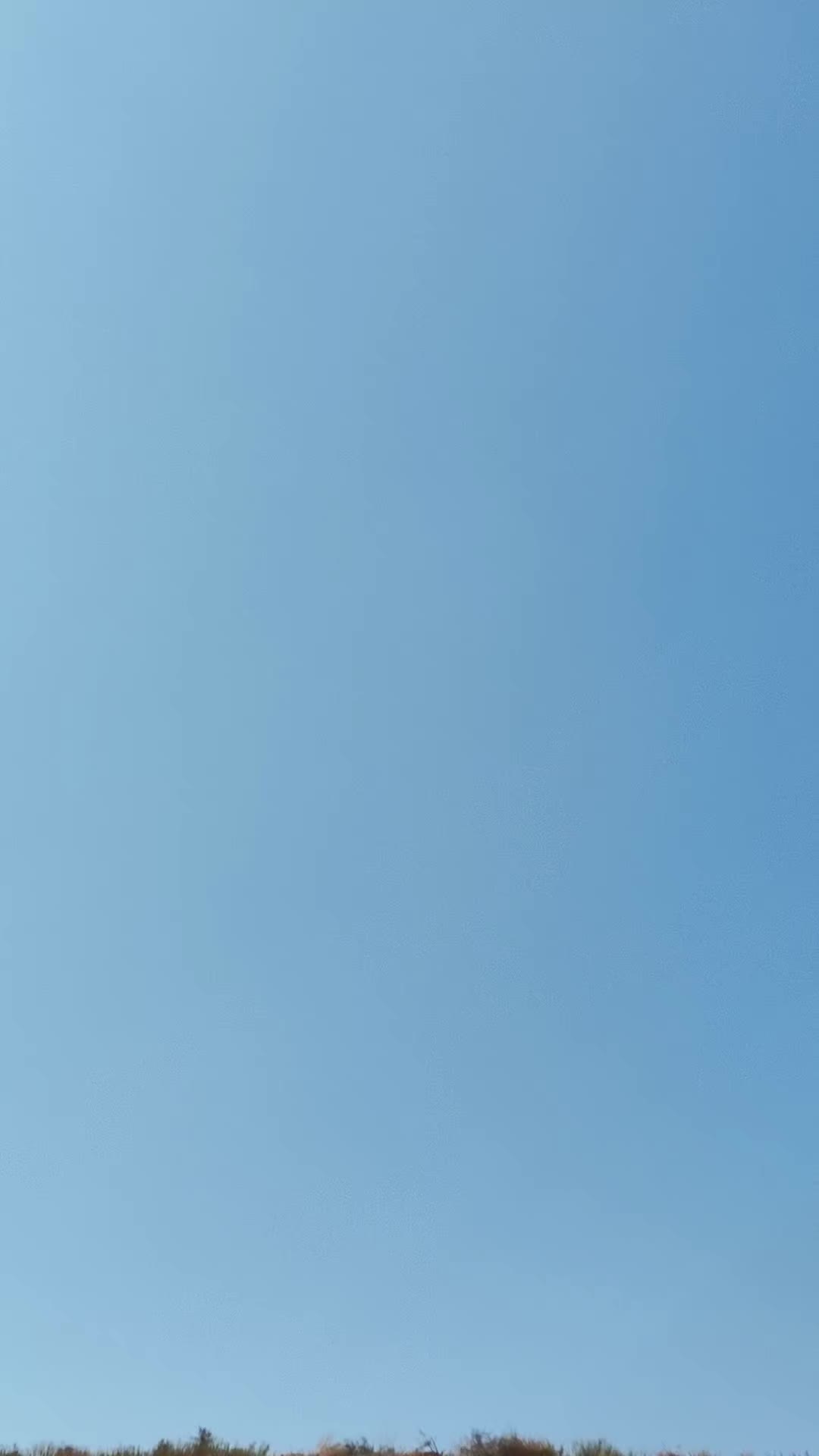 @محمد الزايدي