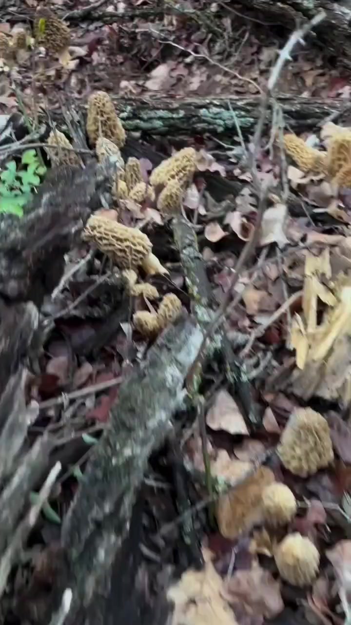@Бахруз Насиров