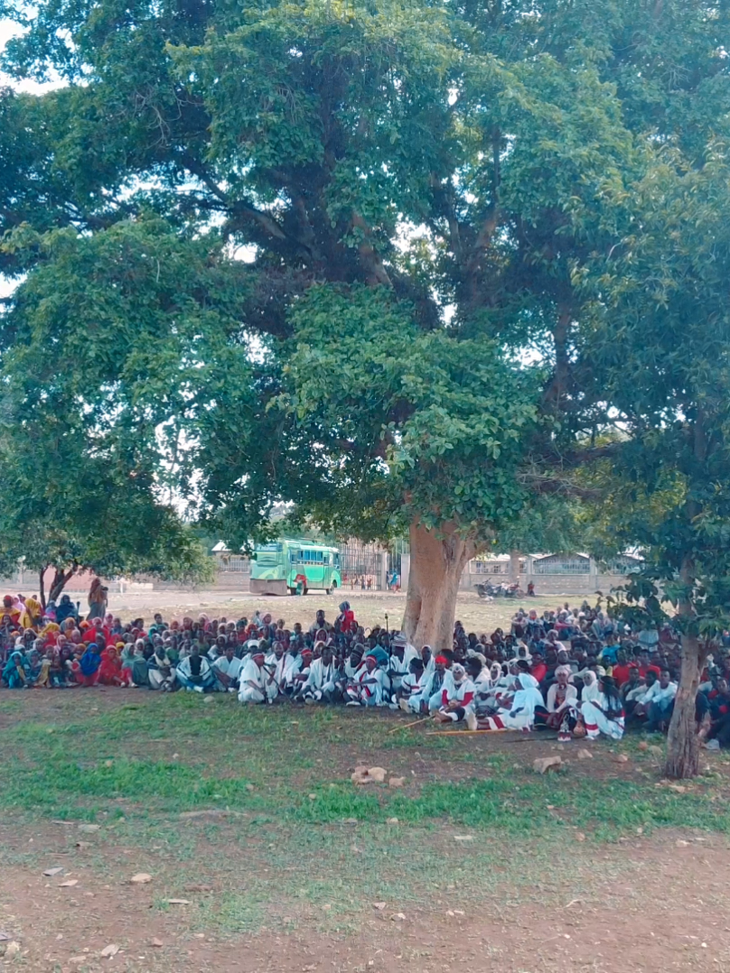 @Bona Umar Boru