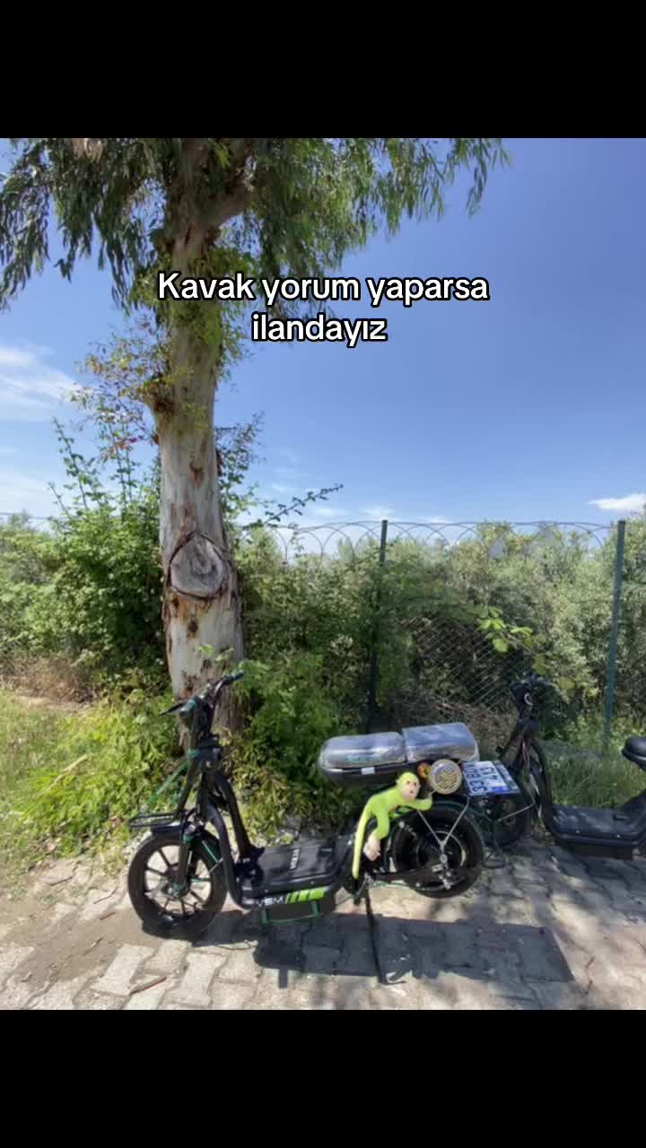 @arda_şimşek
