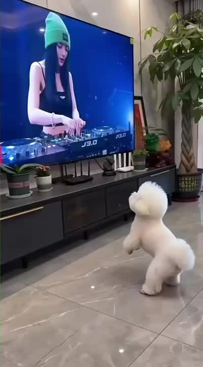 @Funny