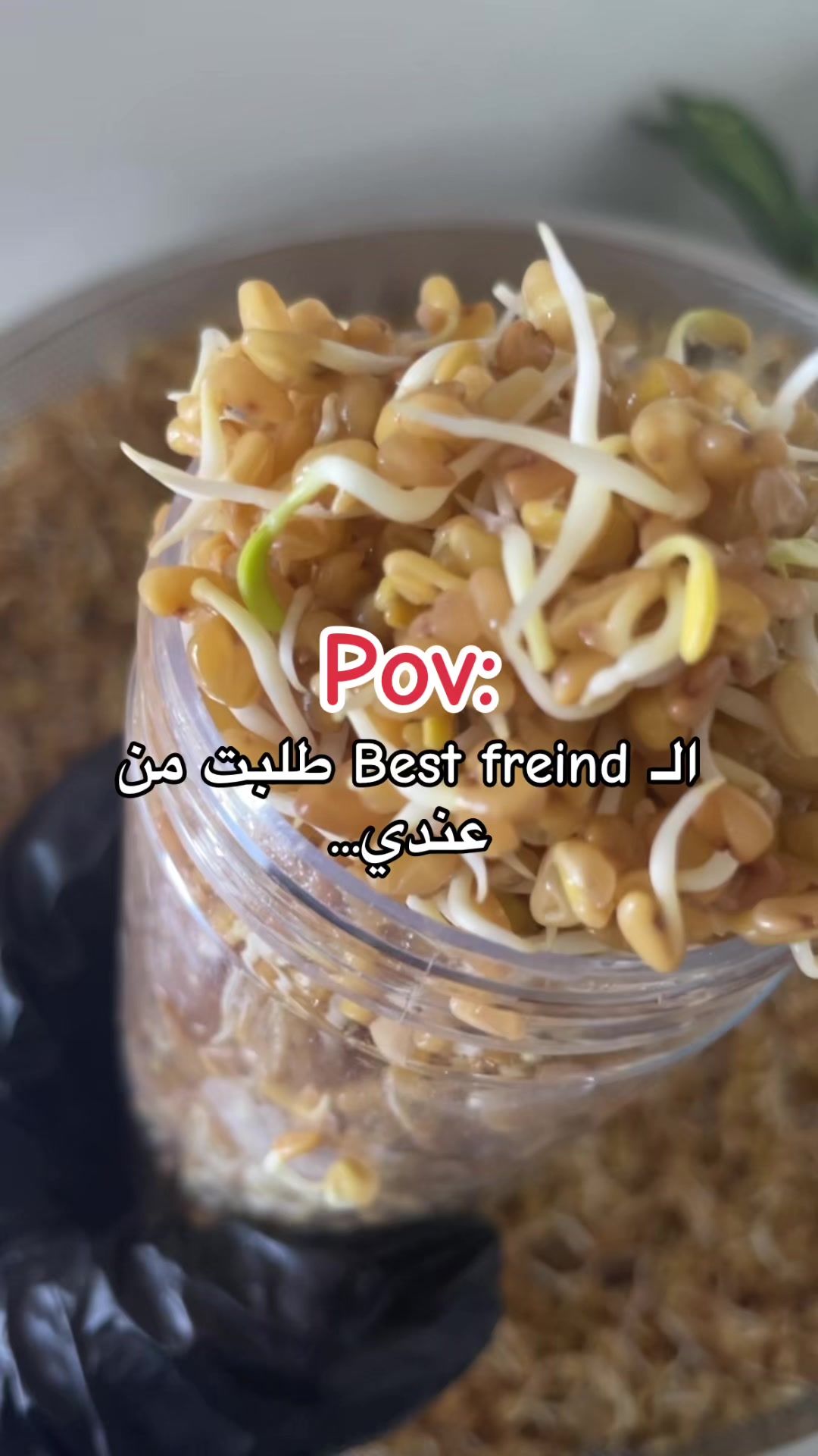 @رِقــة | RIQA