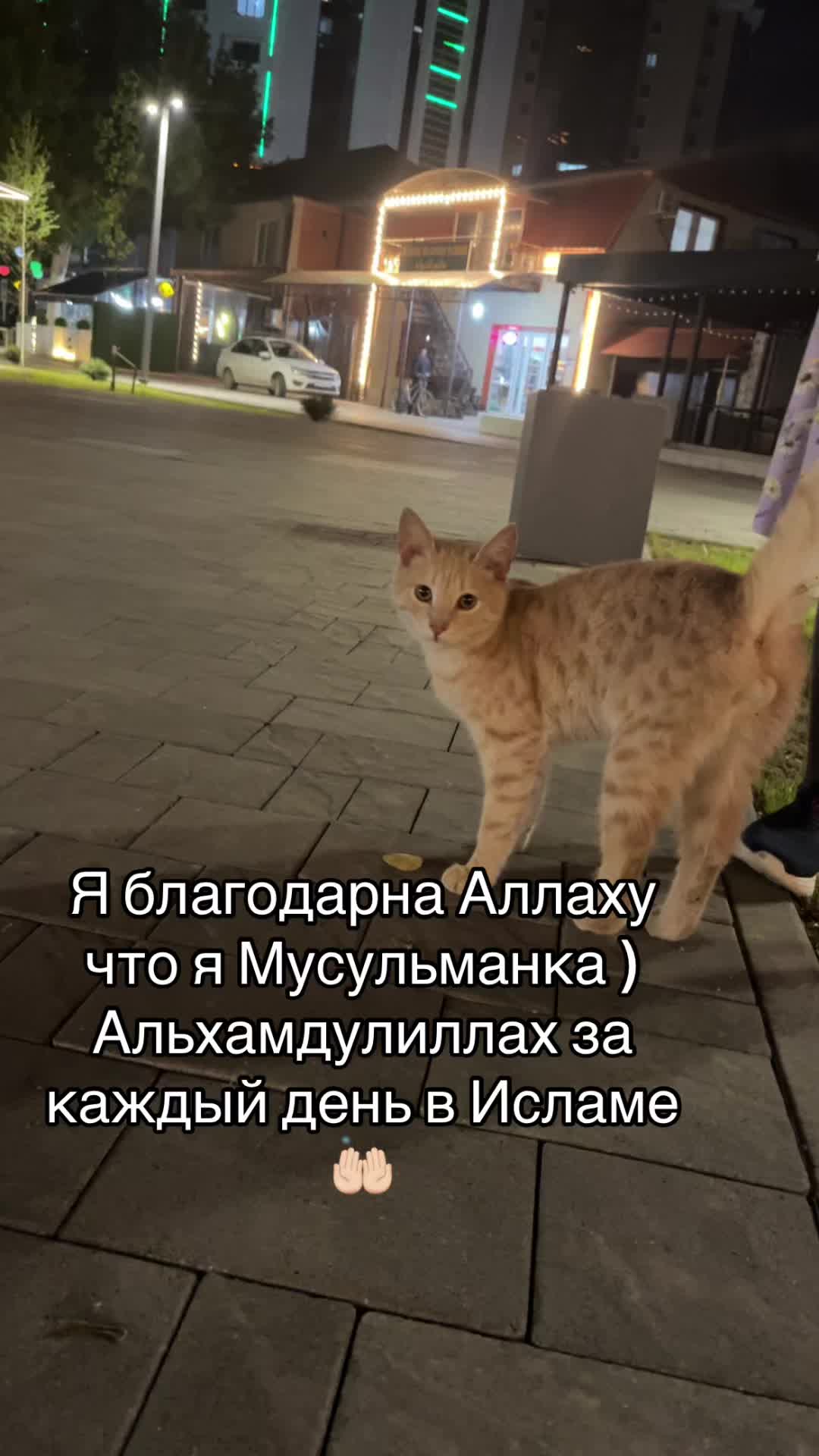 @Русская Мусульманка🧕🏻