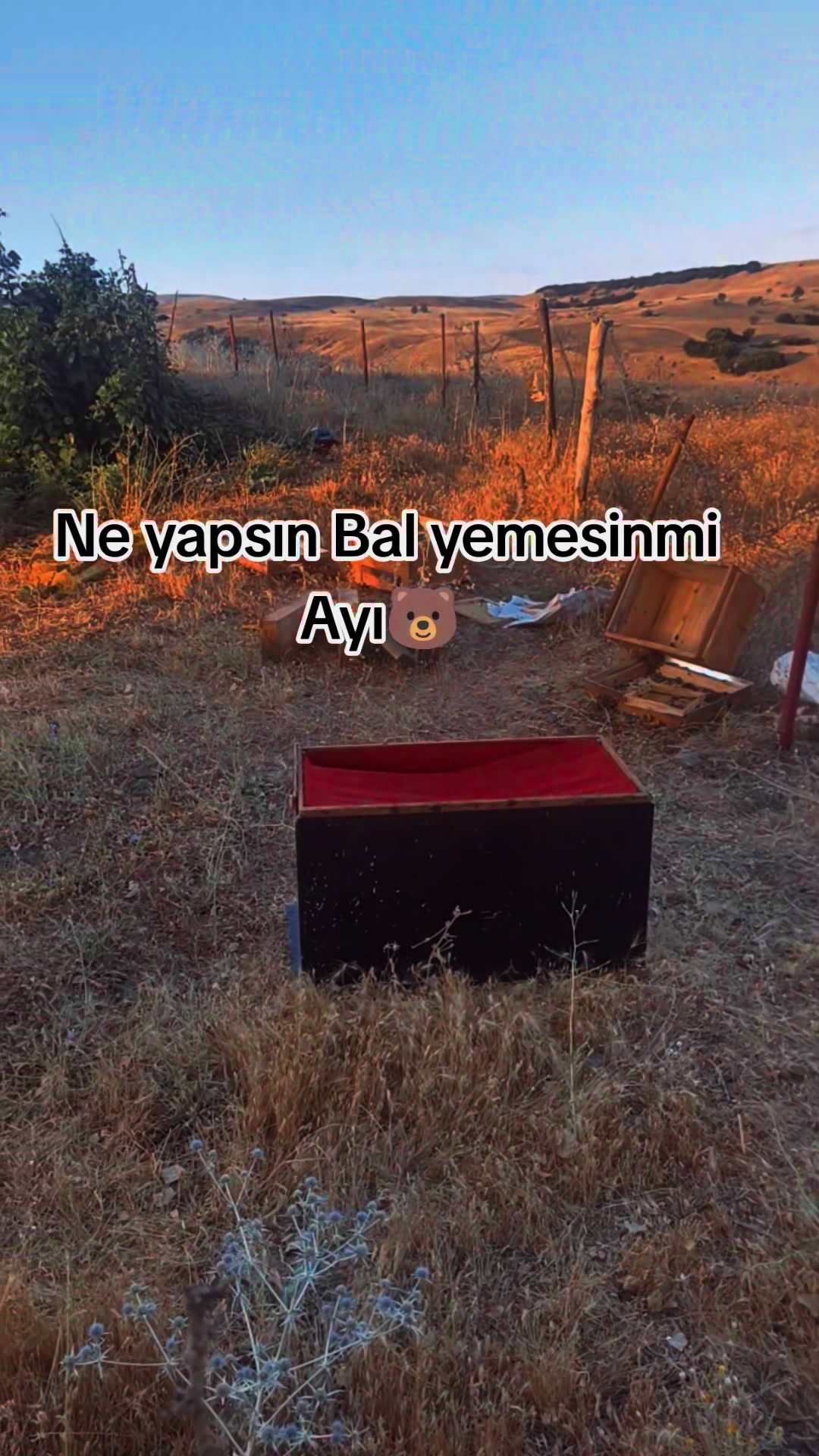 @Mehmet Can Arslan ~49