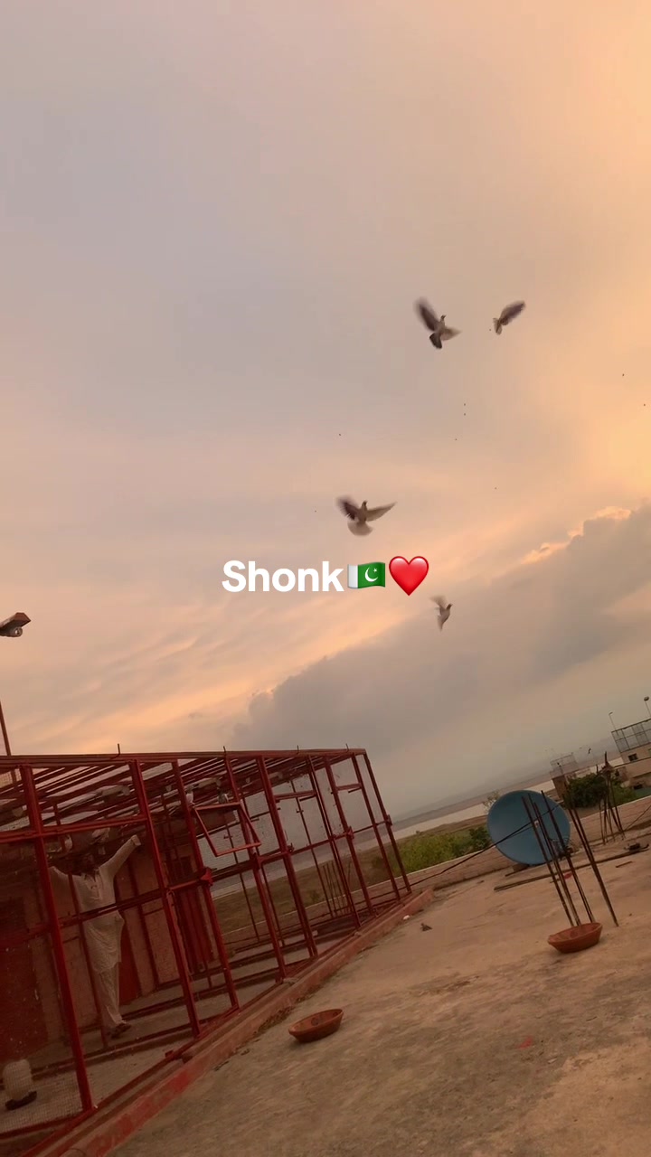 @Aati kashmiri🍁