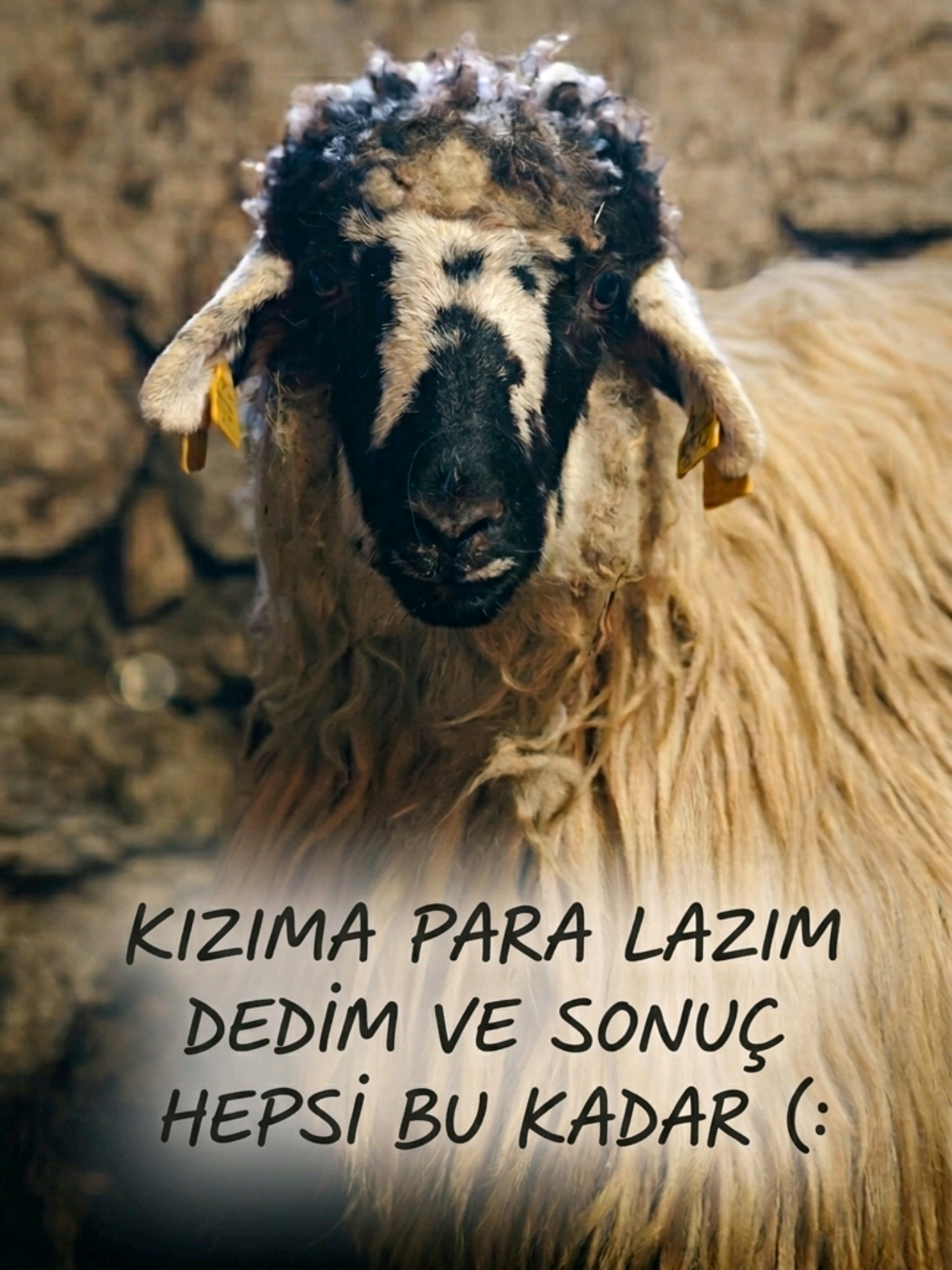 @Hüseyin URGAÇ