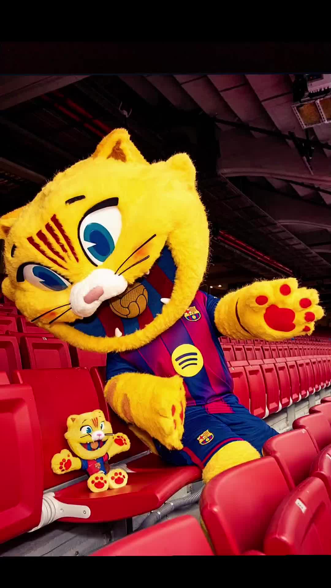 @FCBarcelona Fans