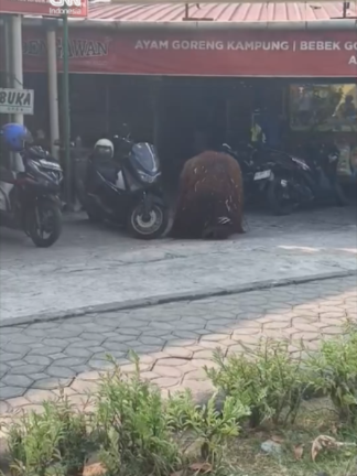 @CNN Indonesia