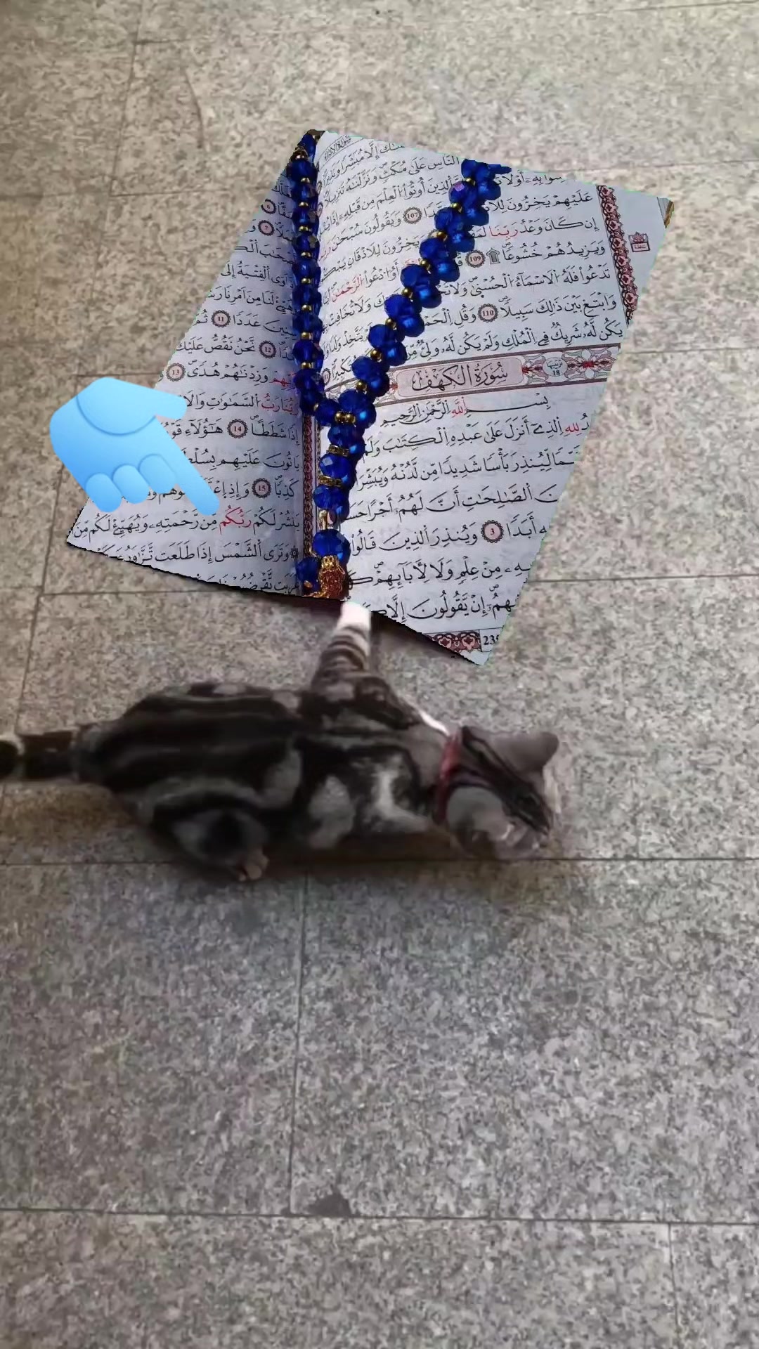 @Usman🫀🕋🕌📿🤍