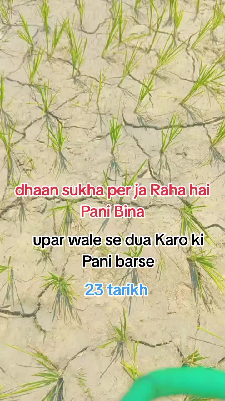 @DJ Bhai