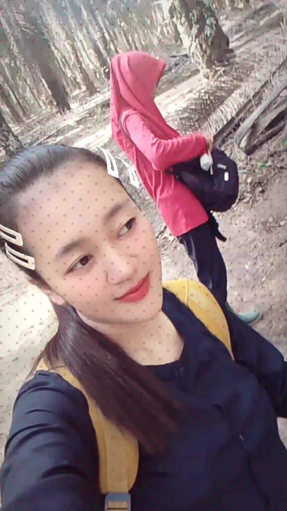 @dewi