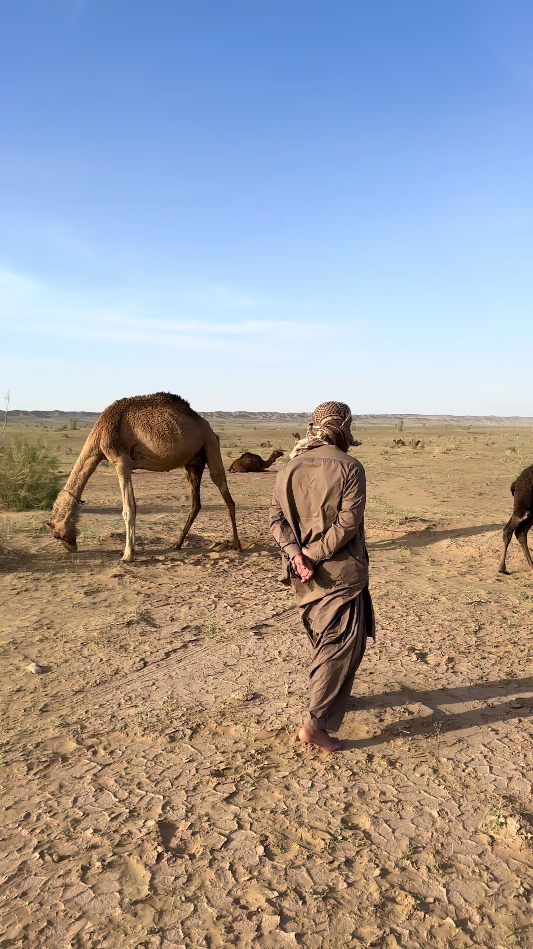 @بلوچستان عشق است 🐪🏜️🪶