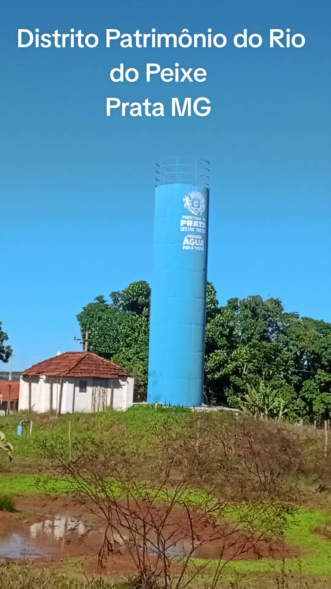 @Adriana Aparecida Si