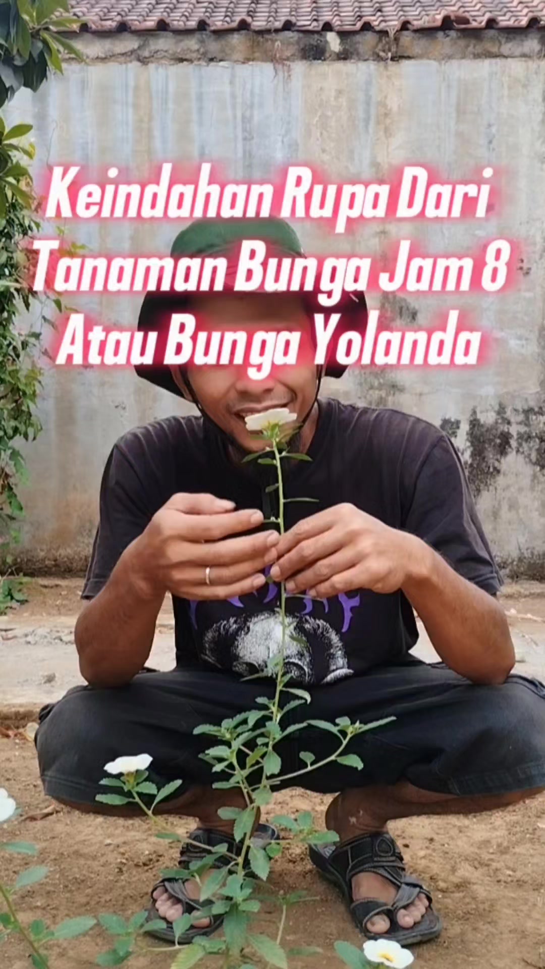 @Bukit Farming