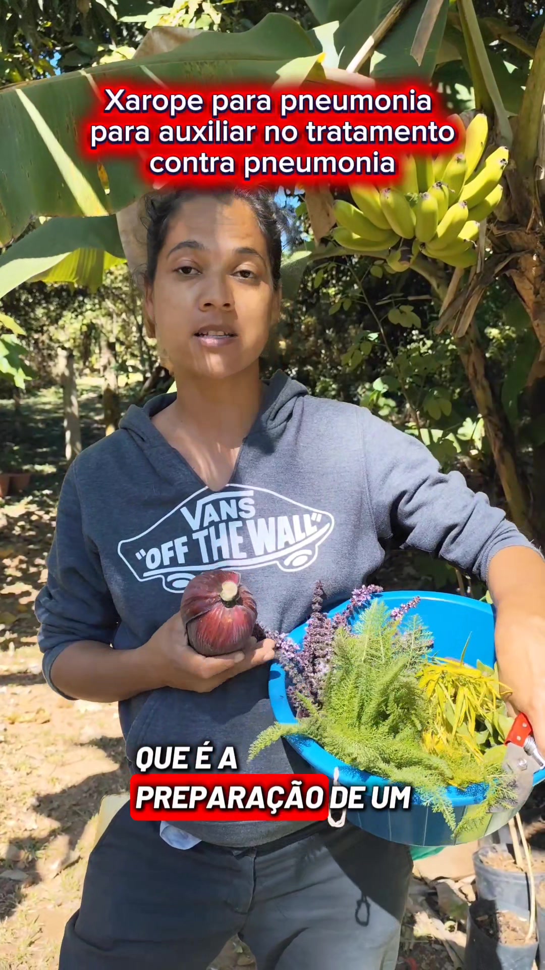 @Plantas