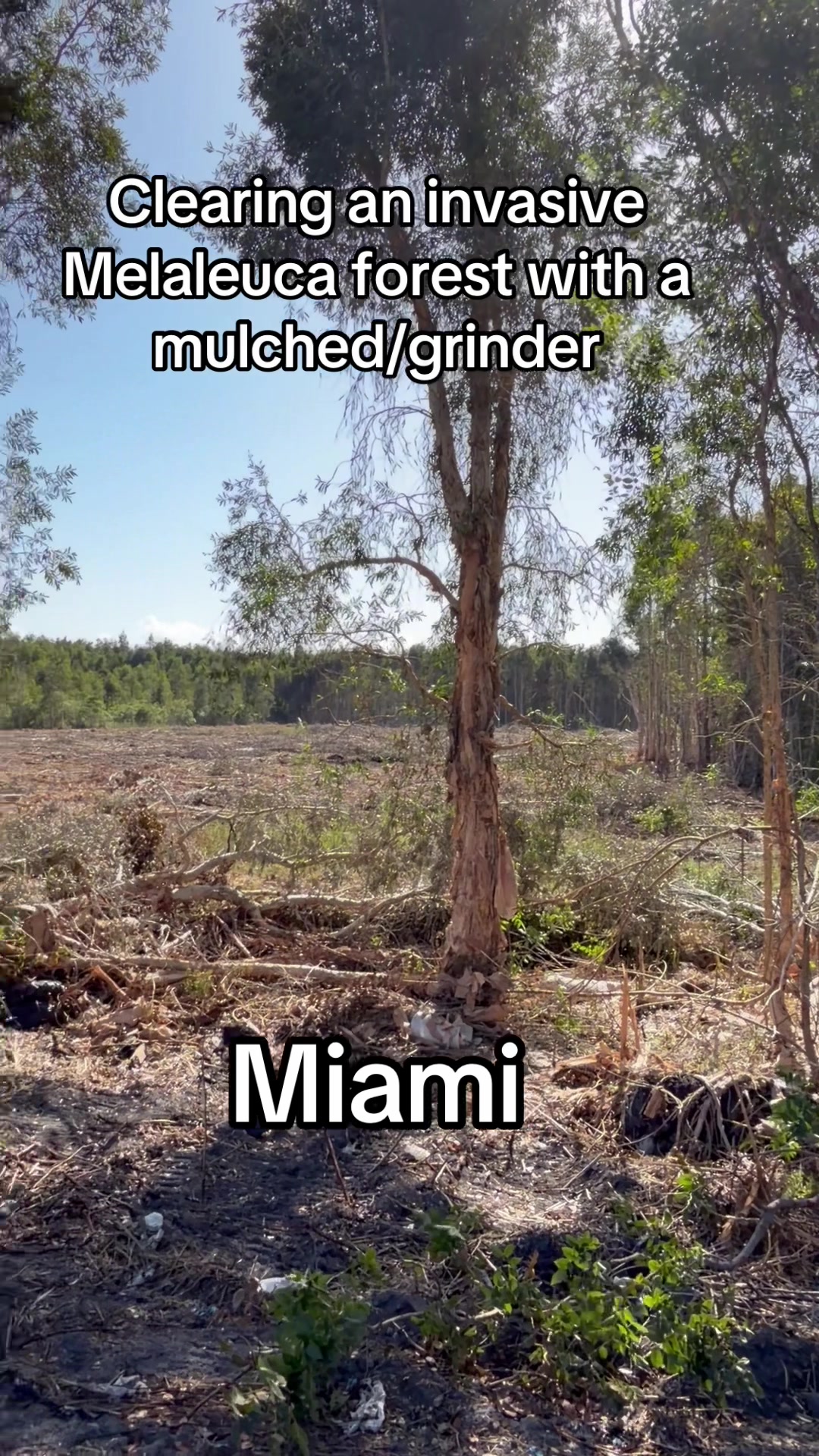 @Florida Land Guy