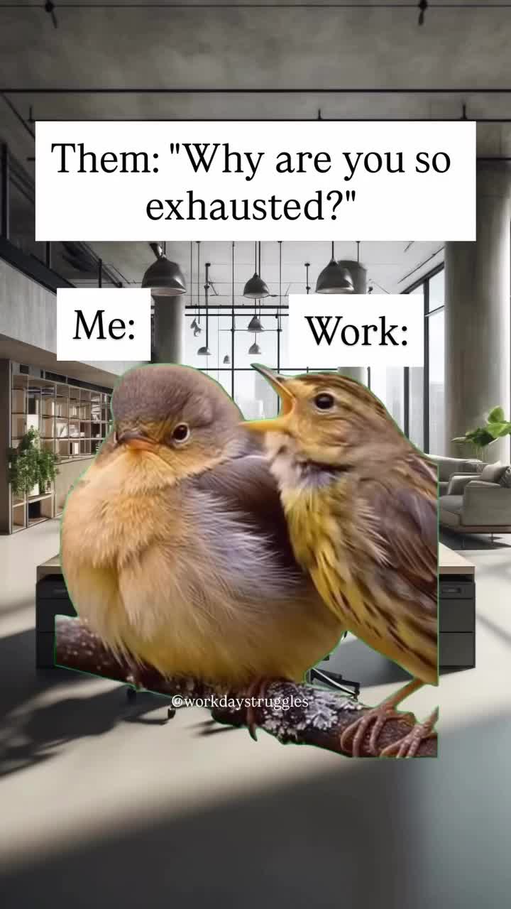 @Workday Struggles