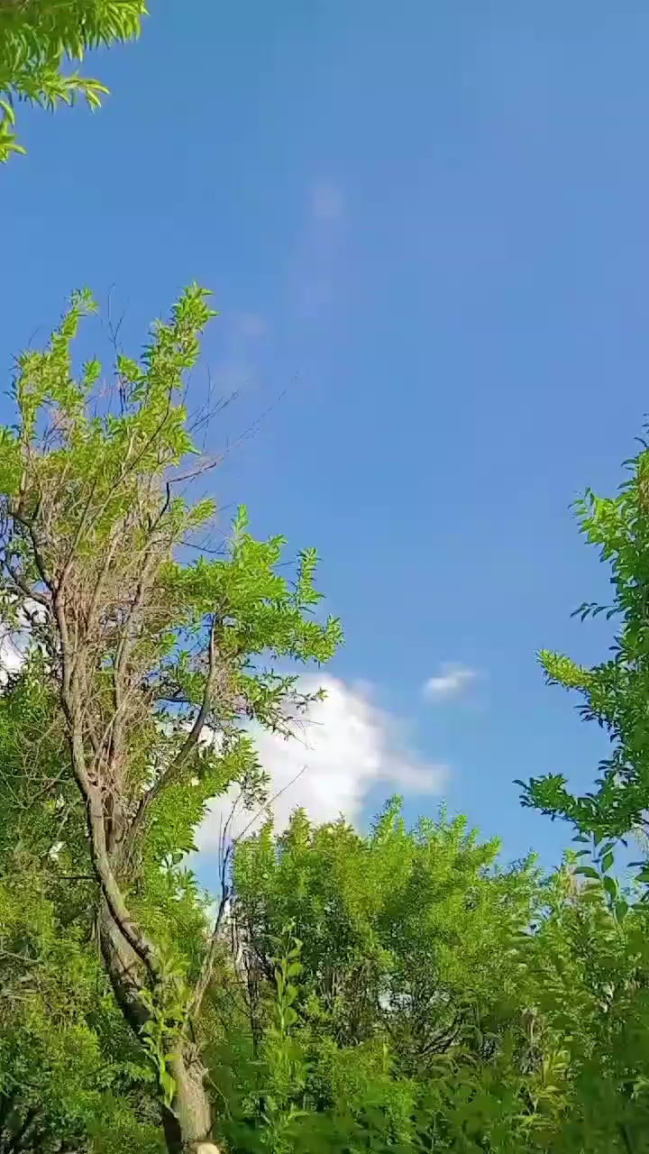 @Lucky143🥀💘🥀