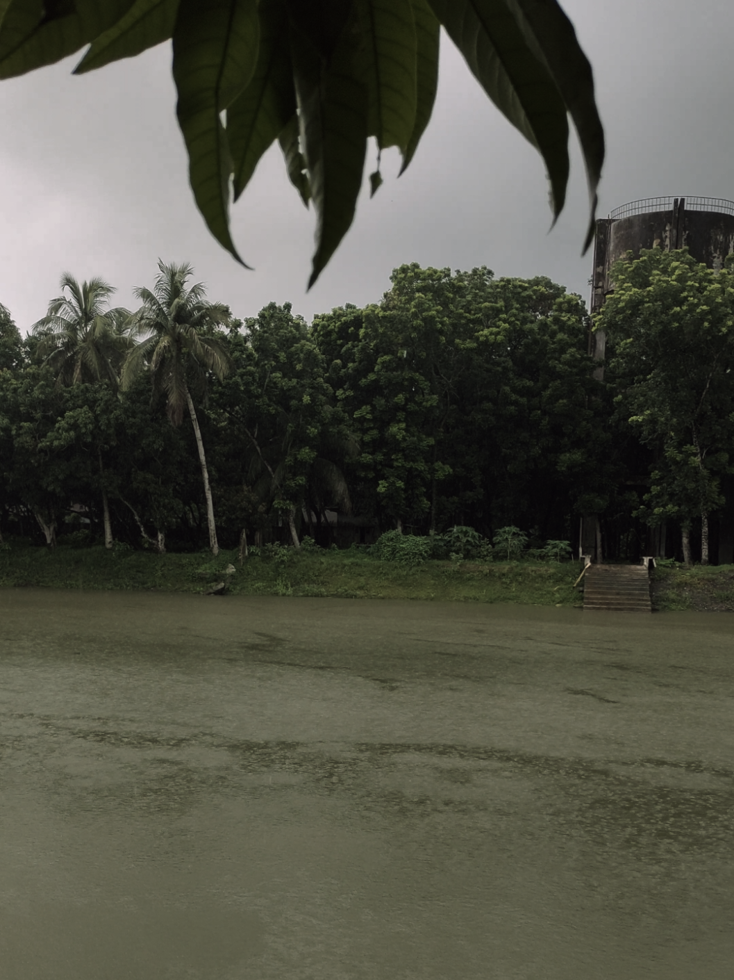 @Sabbir Hossain