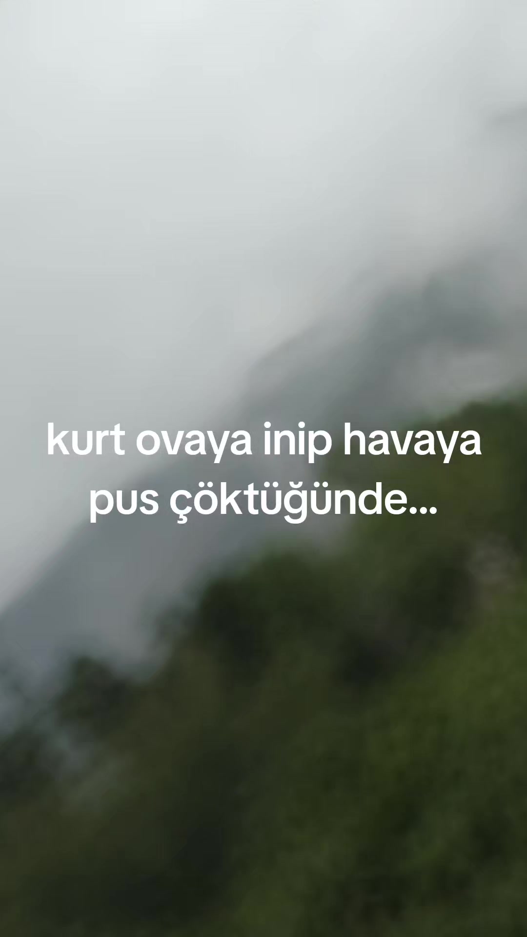 @HkN1T