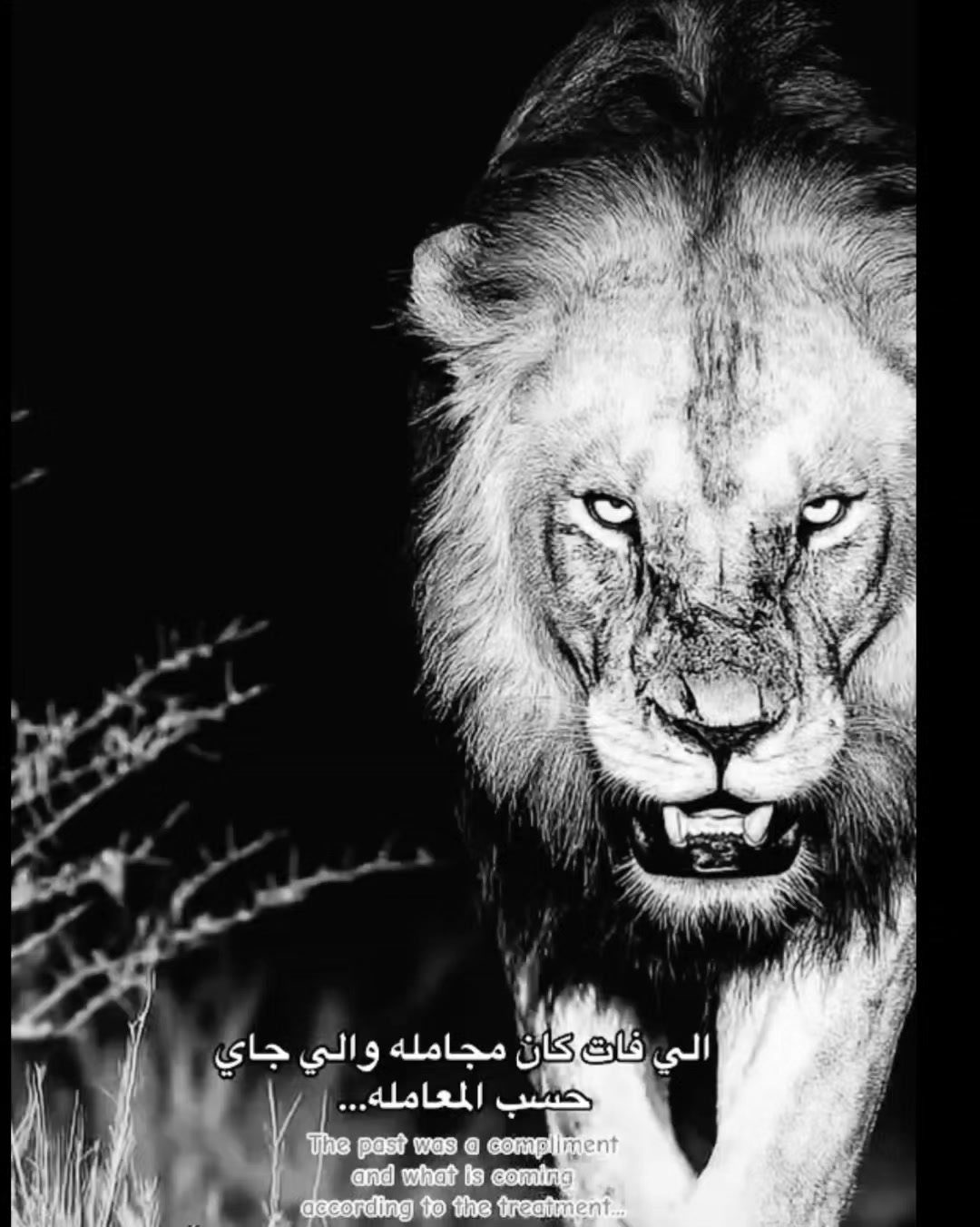 @🫆𓆩 أحـــ🥷🏻ــمــد⚖️