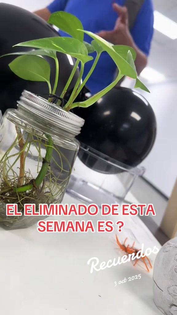 @Ricardito 😵&zwj;💫