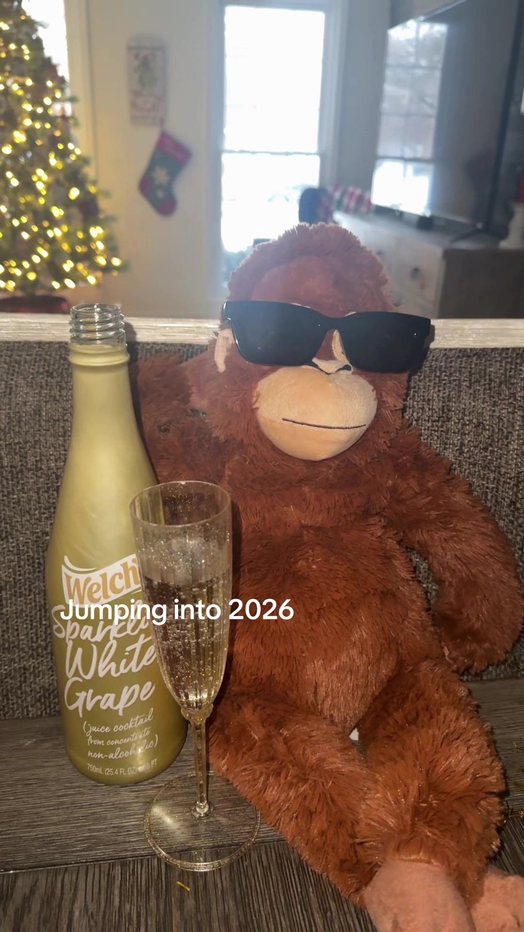 @Ziggy 🐵