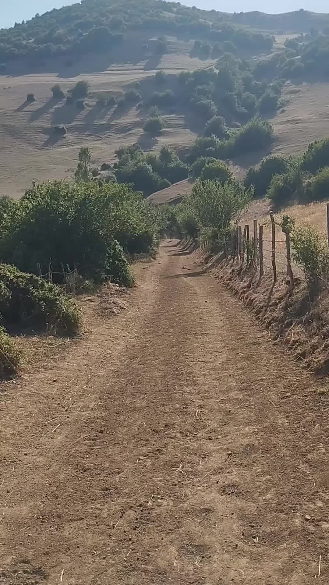 @Elgün Əlizadə