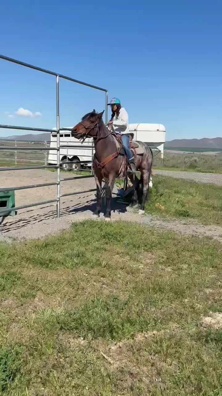 @Cowgirl Tuff Colt Training ❤️