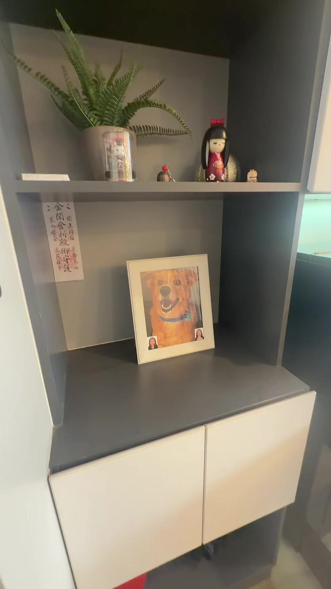 @Diario de Donny🐕 y mami👩🏻