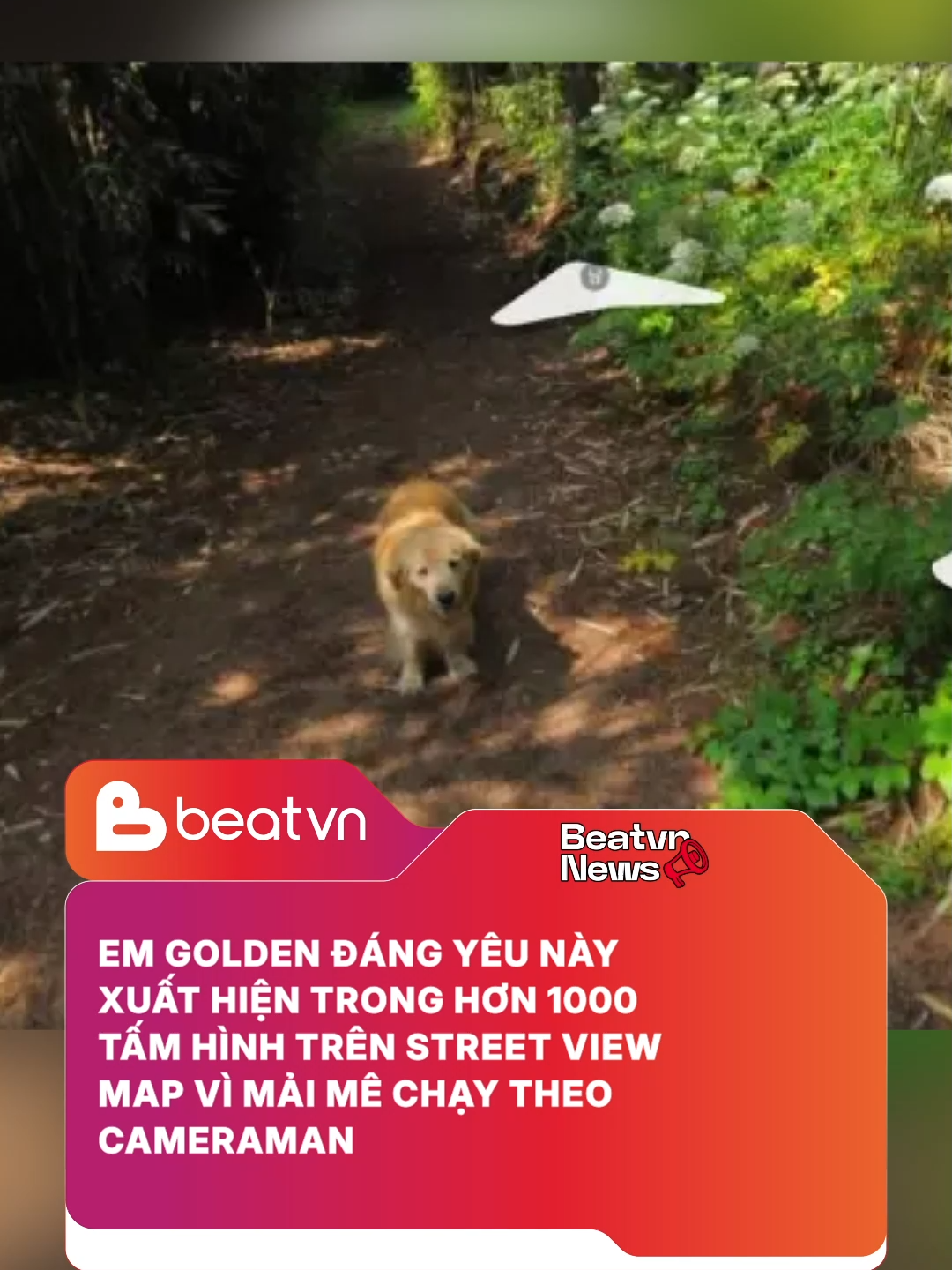 @BEATVN