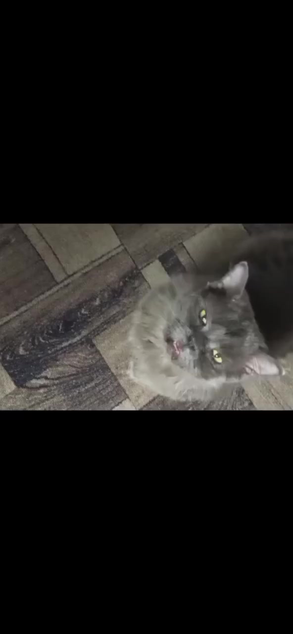 @Дюша:3