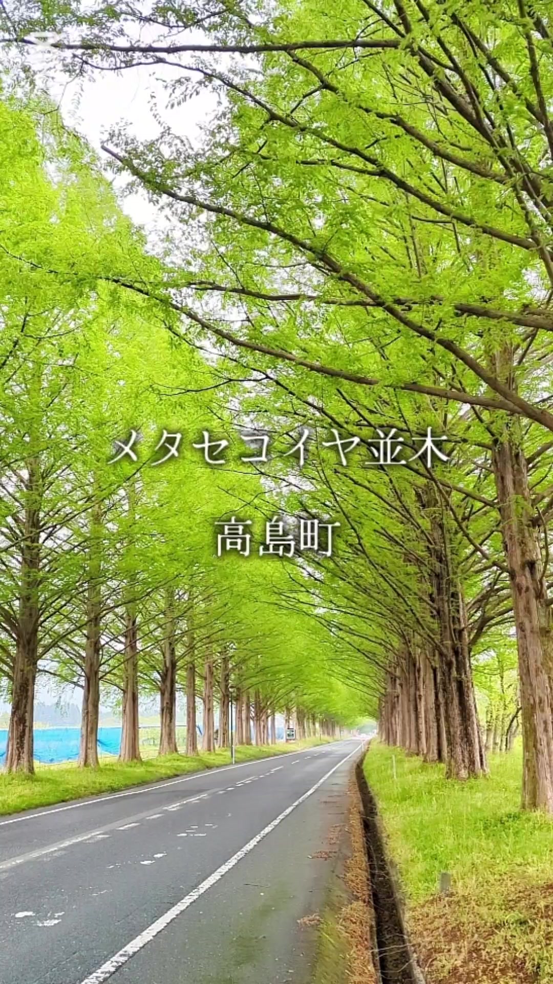 @のりのすけ【京都】