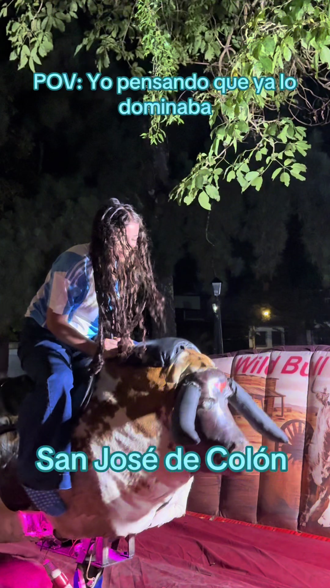 @Toro mas viral de Venezuela