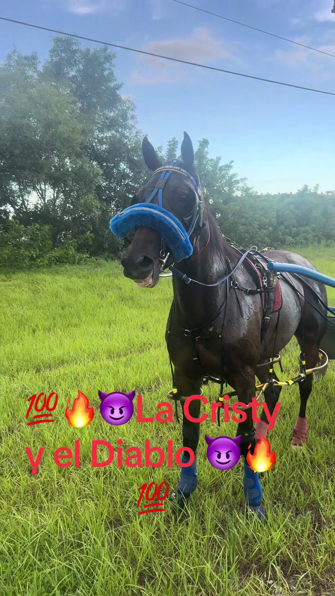 @🔥🔥❤️EL FEO ❤️🔥🔥