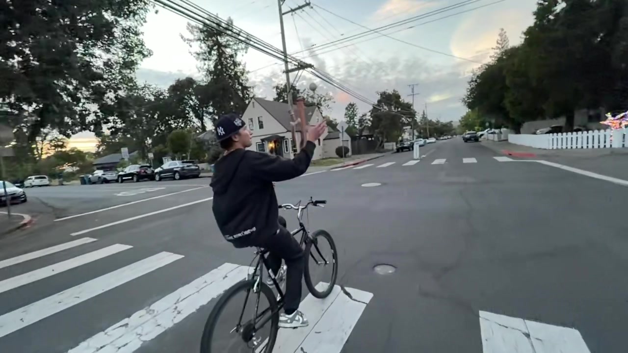@dprib