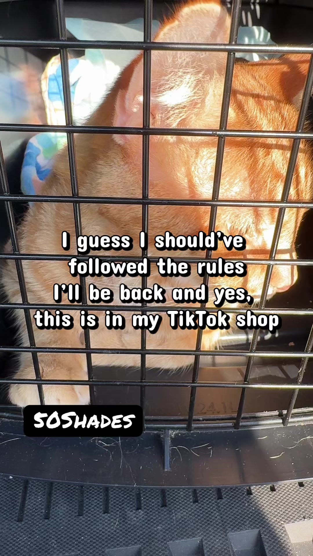 @tubbyslife1AkaBRENDA🪿