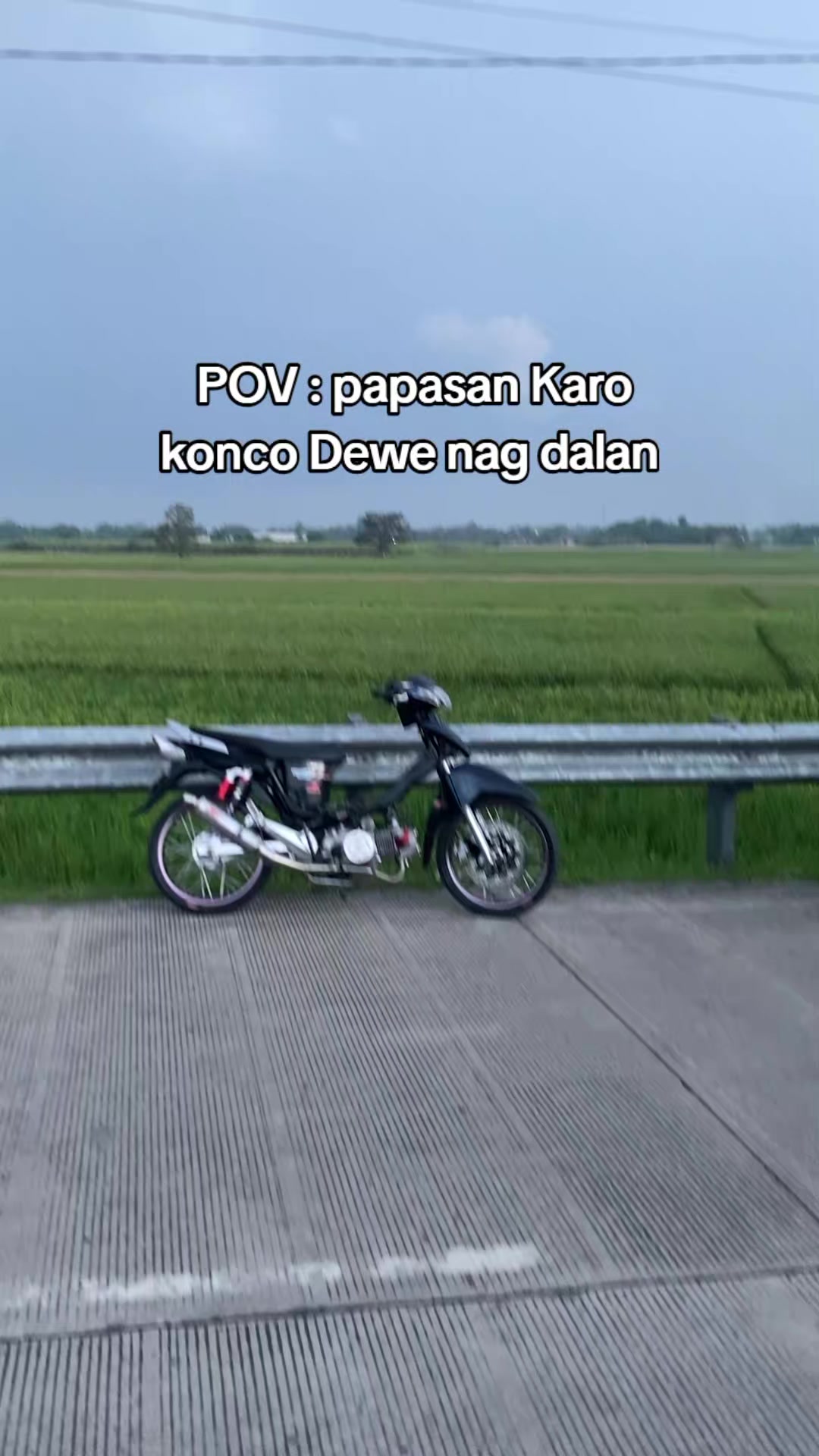 @cleoo