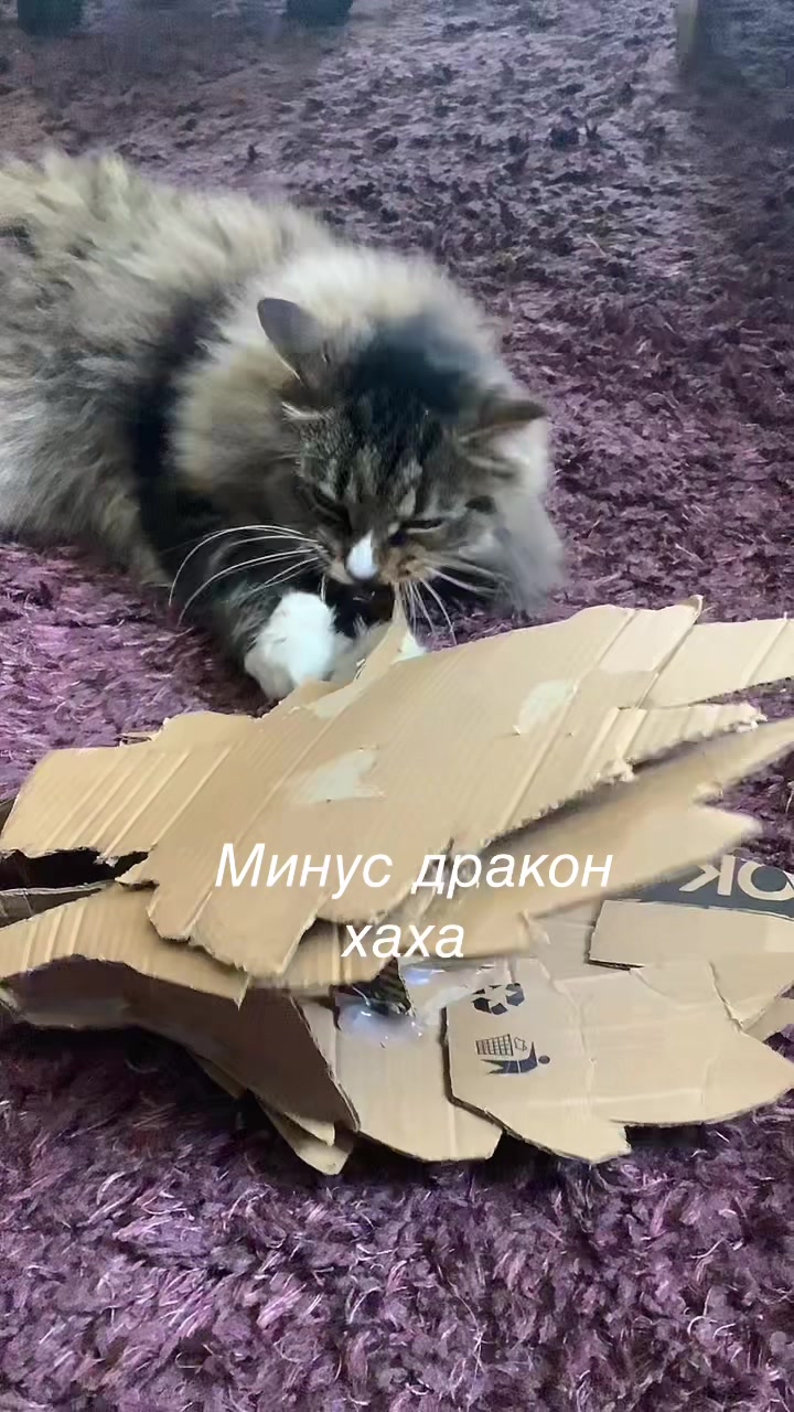 @mik4.oficial