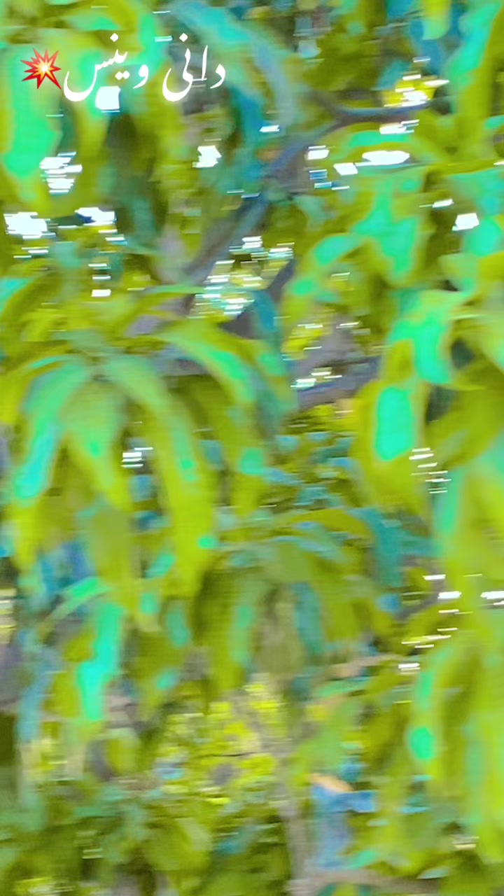 @🌺💚⭐_ᎪƉ𝙉Ꭺ𝙉𝗠ᎪⳑエҚ_🌺💚⭐